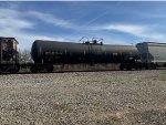 UTLX 204447